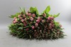 预售郁金香-重瓣 混色 Assorted Pink X300 35cm 30gr10支一扎——单扎单色   颜色随机 商品缩略图0