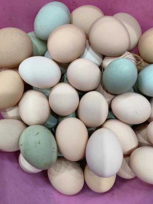 【助农】雨露河谷土鸡蛋30枚 商品图1