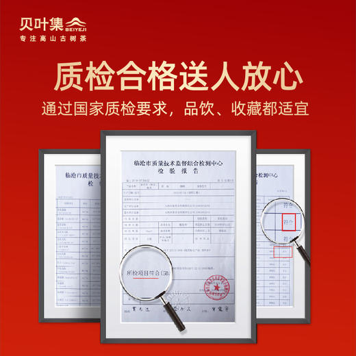 贝叶集 龙行大运· 高山乔木古茶生肖系列礼盒357g 商品图3