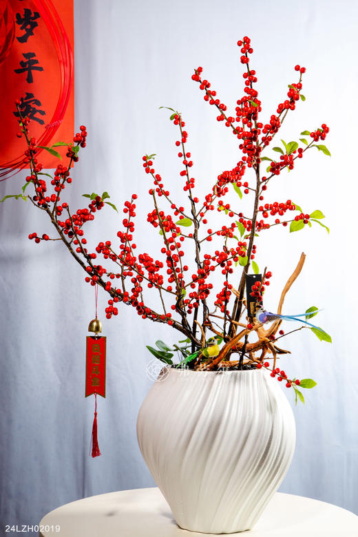 24LZH02019 商品图0