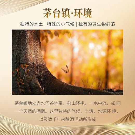 茅台（MOUTAI） 高尔夫酒绅士级2017年 53度酱香型白酒500mL单瓶装 商品图1