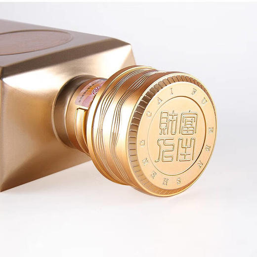 五粮液 财富人生艺术金砖浓香型白酒52度500mL单瓶装 商品图5