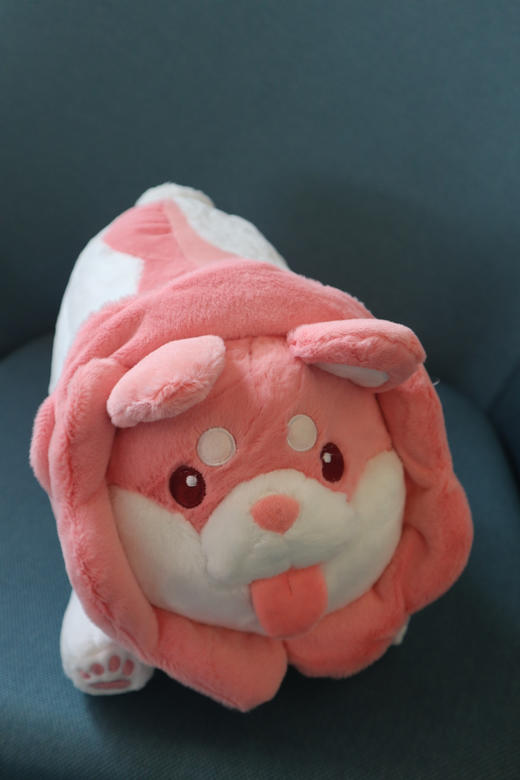 菜狗玩偶 商品图0