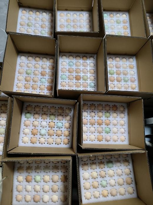 【助农】雨露河谷土鸡蛋30枚 商品图10