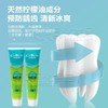 纳爱斯维他命柠檬绿茶香牙膏【90g】 商品缩略图1