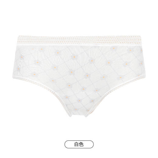 都市丽人功能系列生理裤内裤女超爽棉女士内裤中腰三角内裤LK48A2 商品图6