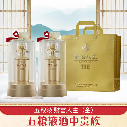 【清仓五手提袋】五粮液股份 财富人生（金龙）浓香型 52度 500ml x2 双支 商品图0