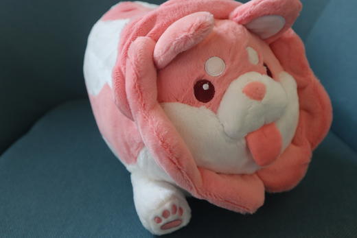 白菜狗公仔  蔬菜精灵 毛绒玩具 商品图10