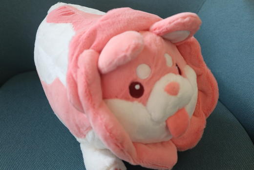 白菜狗公仔  蔬菜精灵 毛绒玩具 商品图6