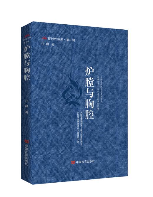 炉膛与胸腔 商品图0