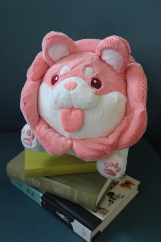 白菜狗公仔  蔬菜精灵 毛绒玩具 商品图7