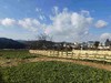 安叶家自产高山生态萝卜干（自然晒干，零添加） 商品缩略图6
