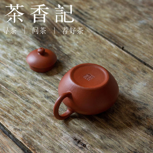 茶香记 紫砂壶 曹永忠 朱泥文旦壶 转折圆润 刚柔相济 聚热留香 商品图3