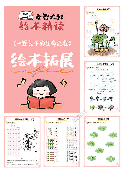 《一颗莲子的生命旅程》绘本精读素材PDF ｜乔智大叔手绘 商品图3