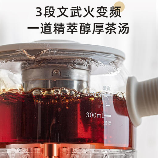 小熊（Bear）养生壶煮茶壶煮茶器 0.5L便携式烧水壶旅行家用蒸茶器花茶壶 ZCQ-A05S1 配茶具茶杯 商品图3