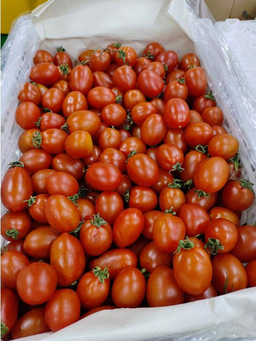 圣女番茄一箱 商品图2