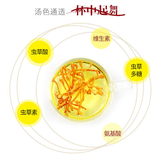 天生好果虫草花118克×2包 商品图6