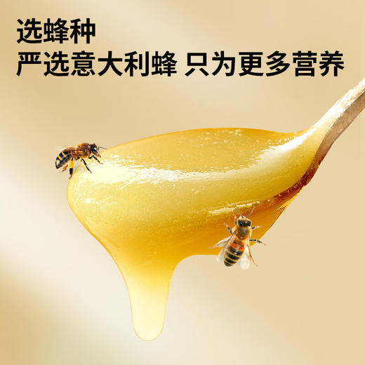 【正宗同仁堂品牌】北京同仁堂 青源堂 蜂蜜 红花雪蜜500克礼盒（250*2） 纯蜂蜜 口感细腻 低温结晶SY 商品图3