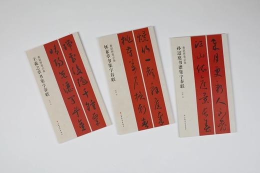 草书集字春联 王羲之草书 怀素草书 孙过庭书谱 春联挥毫必备 商品图0