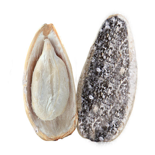 天生好果海盐味瓜子238克（大方罐） 商品图1