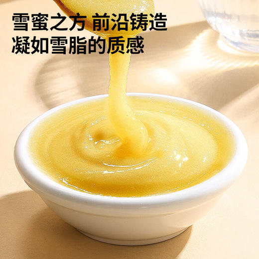 【正宗同仁堂品牌】北京同仁堂 青源堂 蜂蜜 红花雪蜜500克礼盒（250*2） 纯蜂蜜 口感细腻 低温结晶SY 商品图4