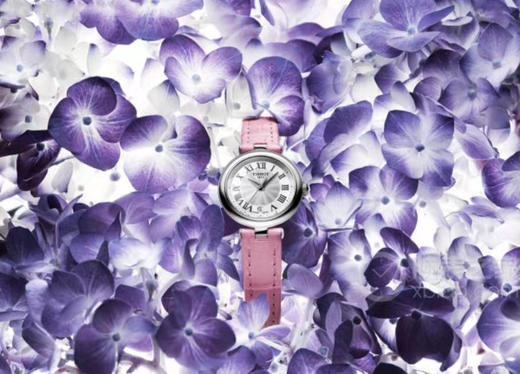 119-4 用真表 表真心 纯圆正 TS小美人系列 T126皮带女士腕表 配包装 商品图2