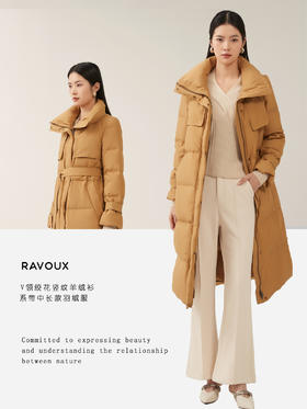 明亮色彩演绎优雅时刻