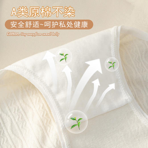 【A类新疆棉】基础生活女士7A原棉内裤（4-116） 商品图2
