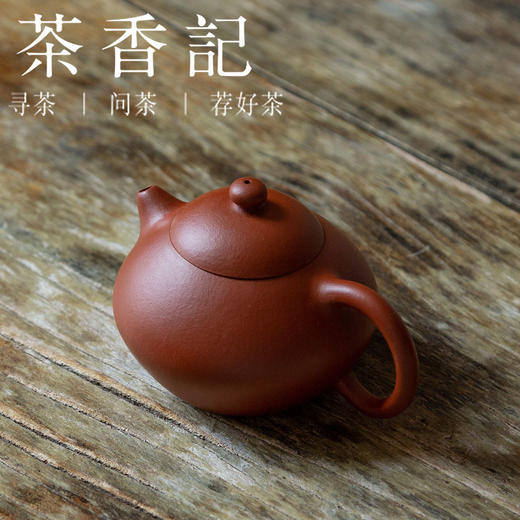 茶香记 紫砂壶 曹永忠 朱泥文旦壶 转折圆润 刚柔相济 聚热留香 商品图1