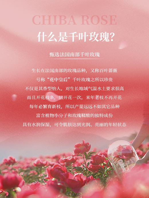 【全新升级版拍二发三】安茹千叶玫瑰精粹面霜/50g 水润细腻丝滑，抵御氧化！ 商品图4