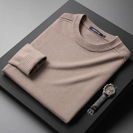 【加厚含羊毛】罗蒙秋冬菠萝提花毛衣男保暖针织衫男舒适打底衫男士毛衣男 商品图2
