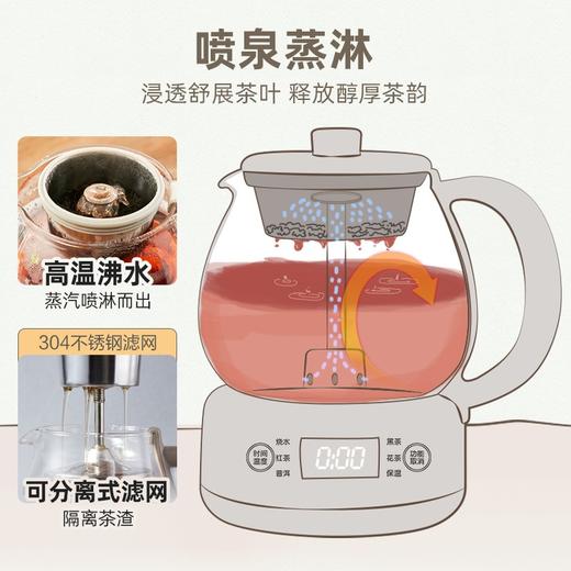 小熊（Bear）煮茶器全自动蒸汽黑茶普洱办公室保温煮茶壶迷你玻璃电热水壶【不支持补差，非质量问题不退不换】S 商品图7