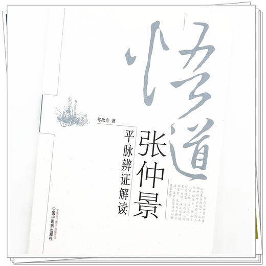 悟道张仲景 平脉辨证解读 徐汝奇 著 中国中医药出版社 中医基础理论 中医书籍 商品图4