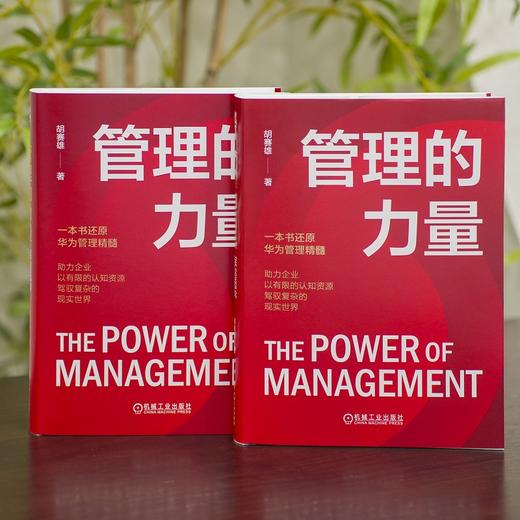 管理的力量 胡赛雄(胡赛雄) 商品图2