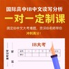 国际高中IB中文一对一 商品缩略图0