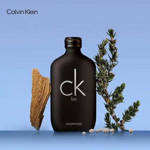 【这价只在春节有】CK卡雷比中性淡香水 EDT 50ML 限24年12月 商品图1