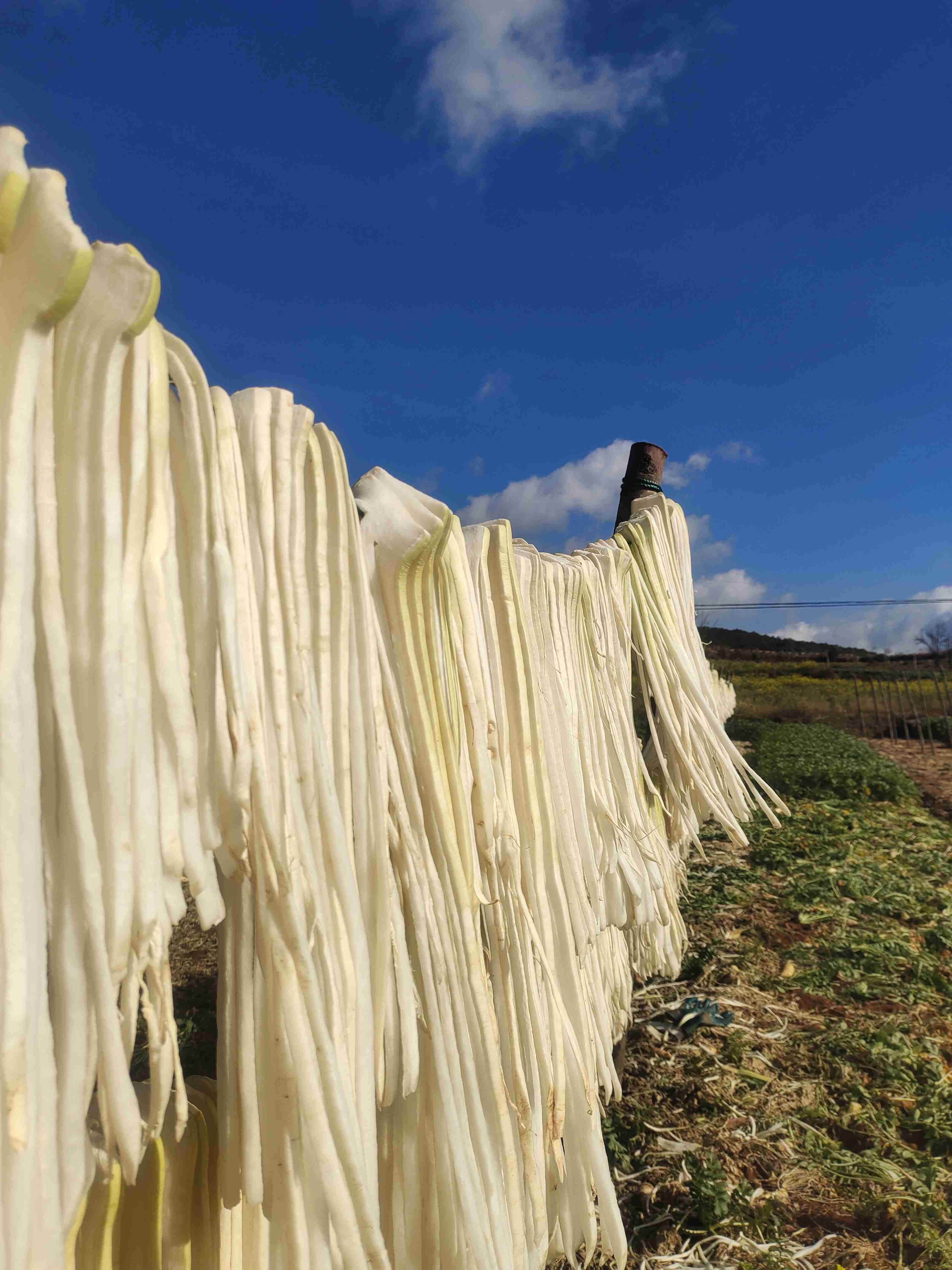 安叶家自产高山生态萝卜干（自然晒干，零添加）