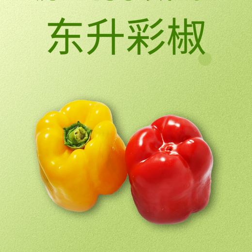 【超市】东升彩椒 商品图0