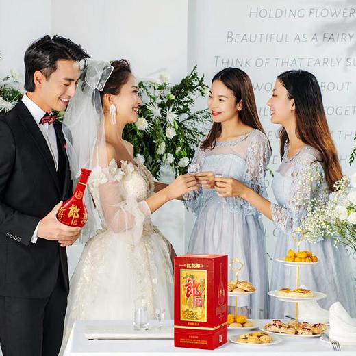 郎酒 红花郎10第四代酱香型白酒53度500ml单瓶装 商品图1