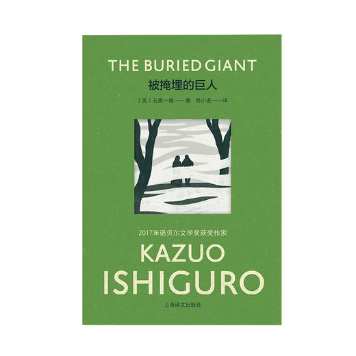 被掩埋的巨人 石黑一雄彩虹布面系列作品 商品图2