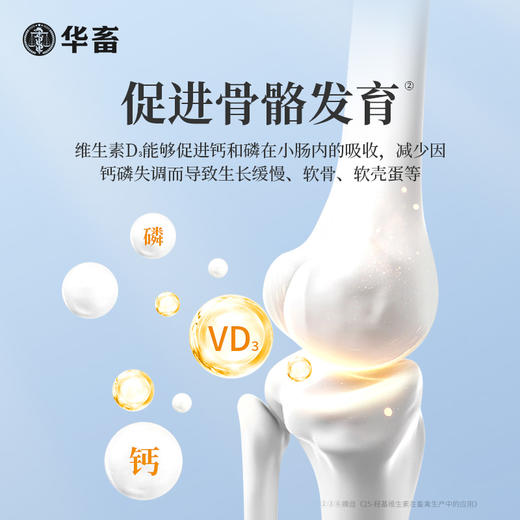 华畜兽用维生素D3可溶性产后瘫痪佝偻病软骨软壳蛋禽鸡猪牛羊腿疼 商品图2