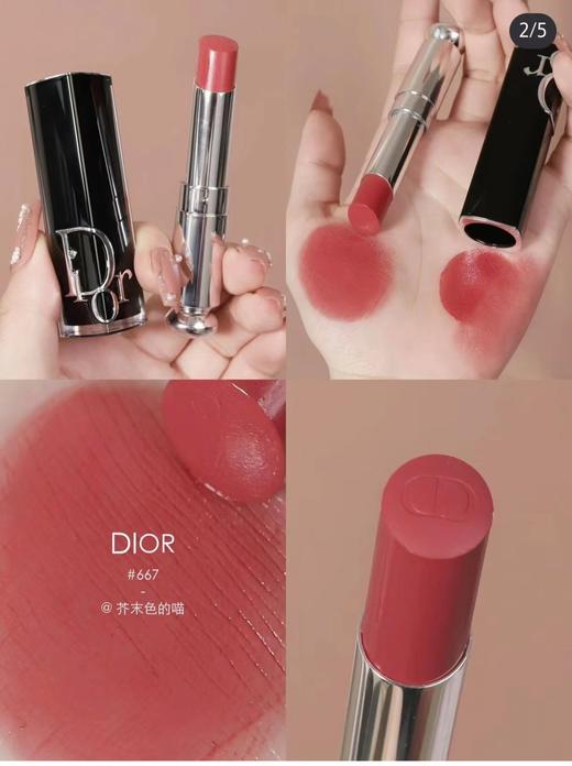 迪奥667 商品图1