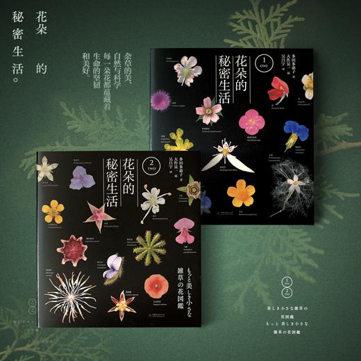 花朵的秘密生活2407/2408 商品图3