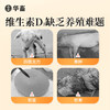 华畜兽用维生素D3可溶性产后瘫痪佝偻病软骨软壳蛋禽鸡猪牛羊腿疼 商品缩略图1
