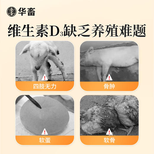 华畜兽用维生素D3可溶性产后瘫痪佝偻病软骨软壳蛋禽鸡猪牛羊腿疼 商品图1