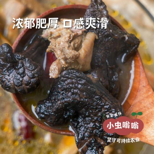 高原野生黑虎掌菌 50g | 合作农友生产，产自四川甘孜雪山高原，生产者：李建程 &【公平贸易农人定价】 商品图1