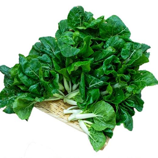 【超市】东升奶白苗 商品图0