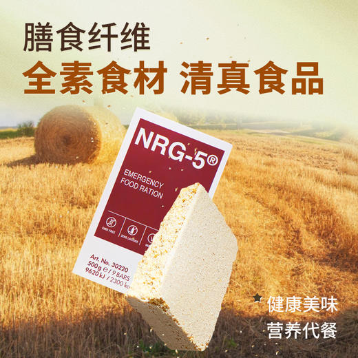 NRG5 全素 22%蛋白质含量  500克 压缩饼干 商品图3