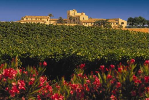 意大利葡泰酒庄迪乐西西里岛红葡萄酒750ml*6 商品图2