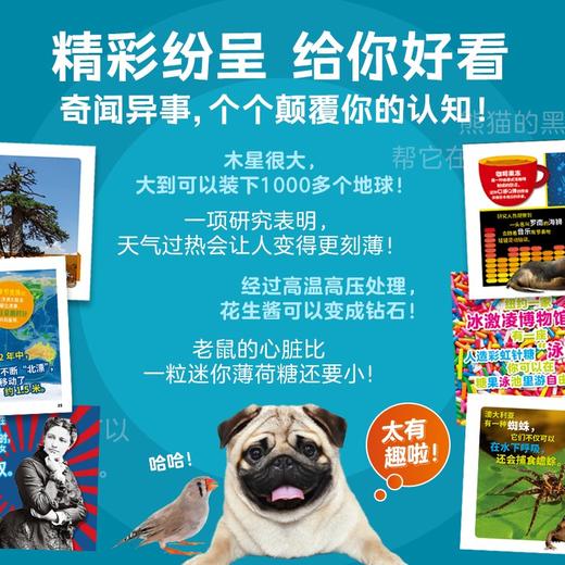 美国国家地理·世界真奇妙（第1辑）：全10册 商品图1